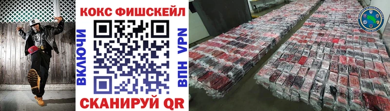 Купить закладки  Кизилюрт  COCAIN Fish Scale 