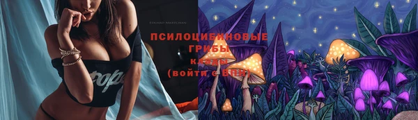 гидропоника Заволжск